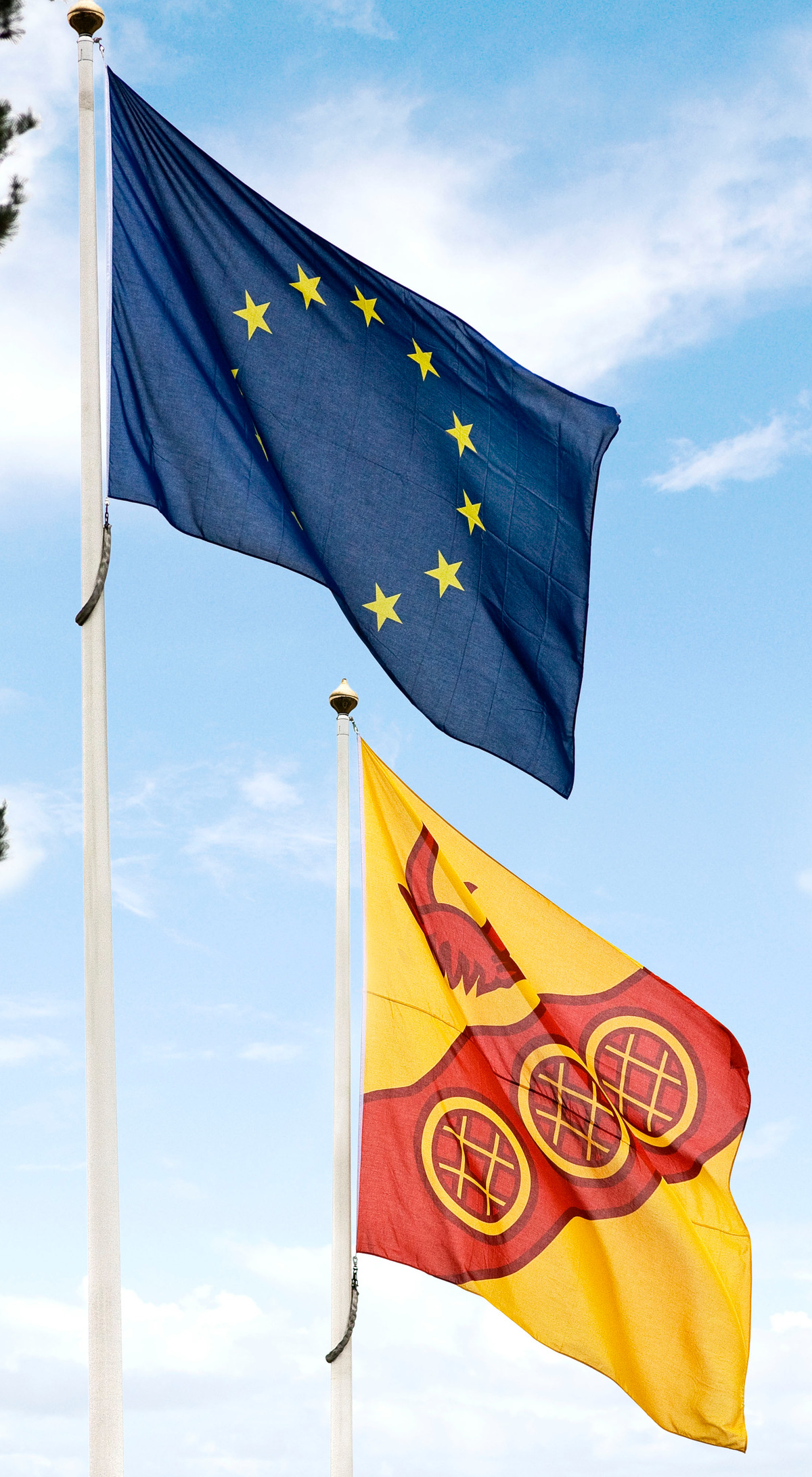 EU-flagga och Tyresöflagga